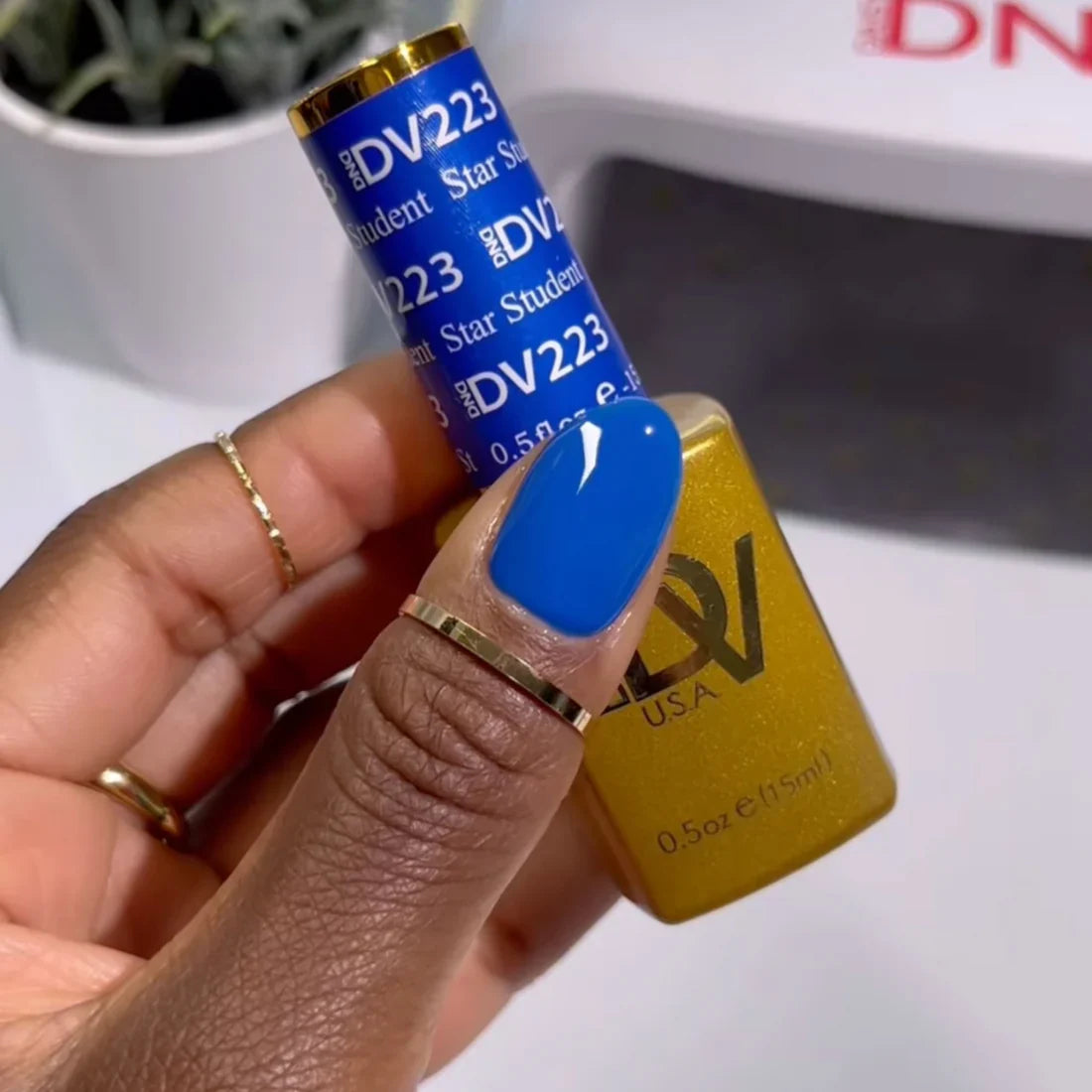 DIVA Gel Polish #223 - Star Student