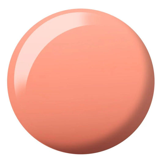 DIVA Duo #168 | Tangy Apricot
