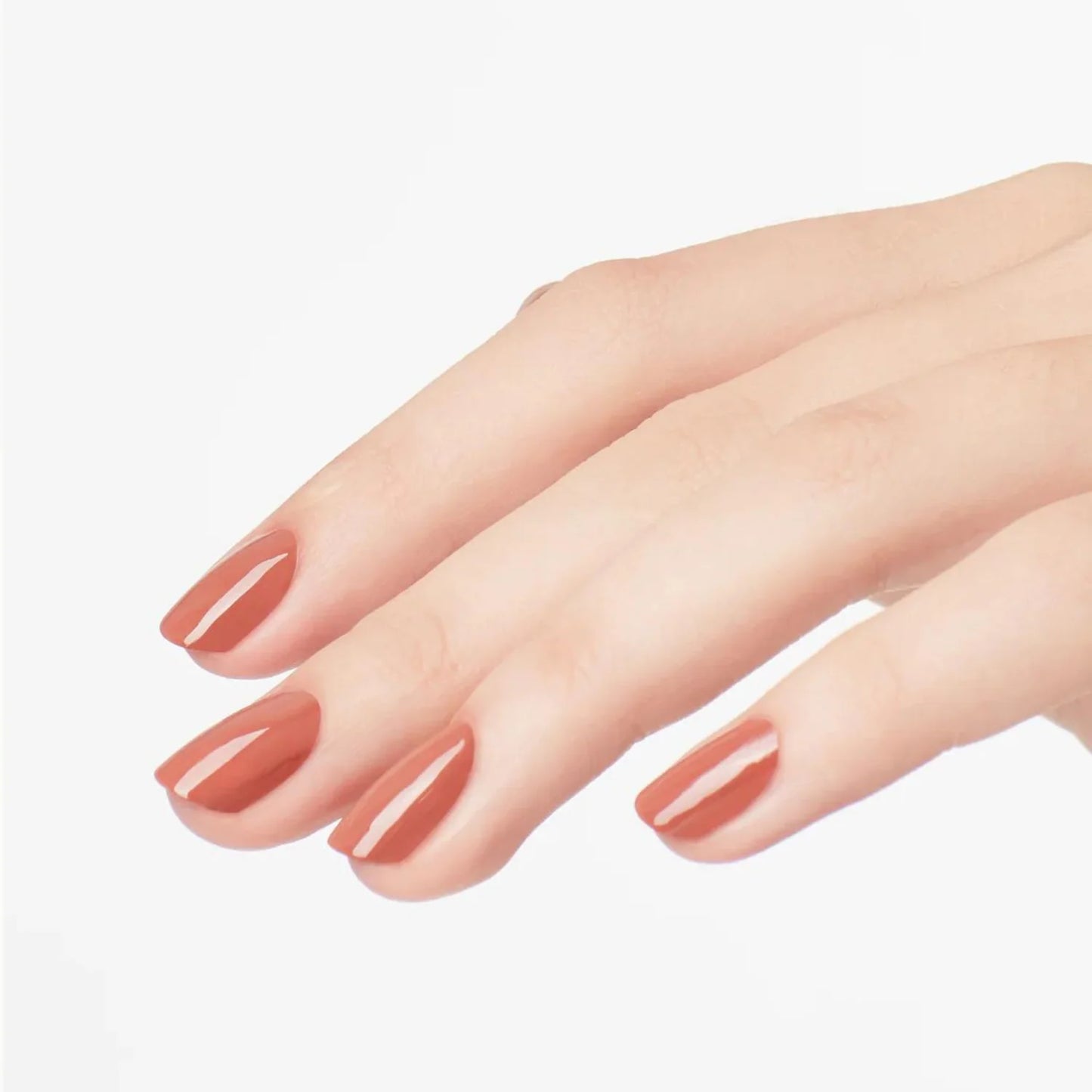 NL C89 | Chocolate Moose