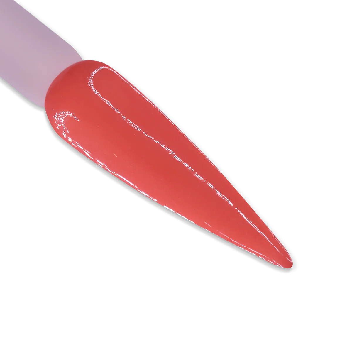 iGel Duo DD031 | Candid Coral