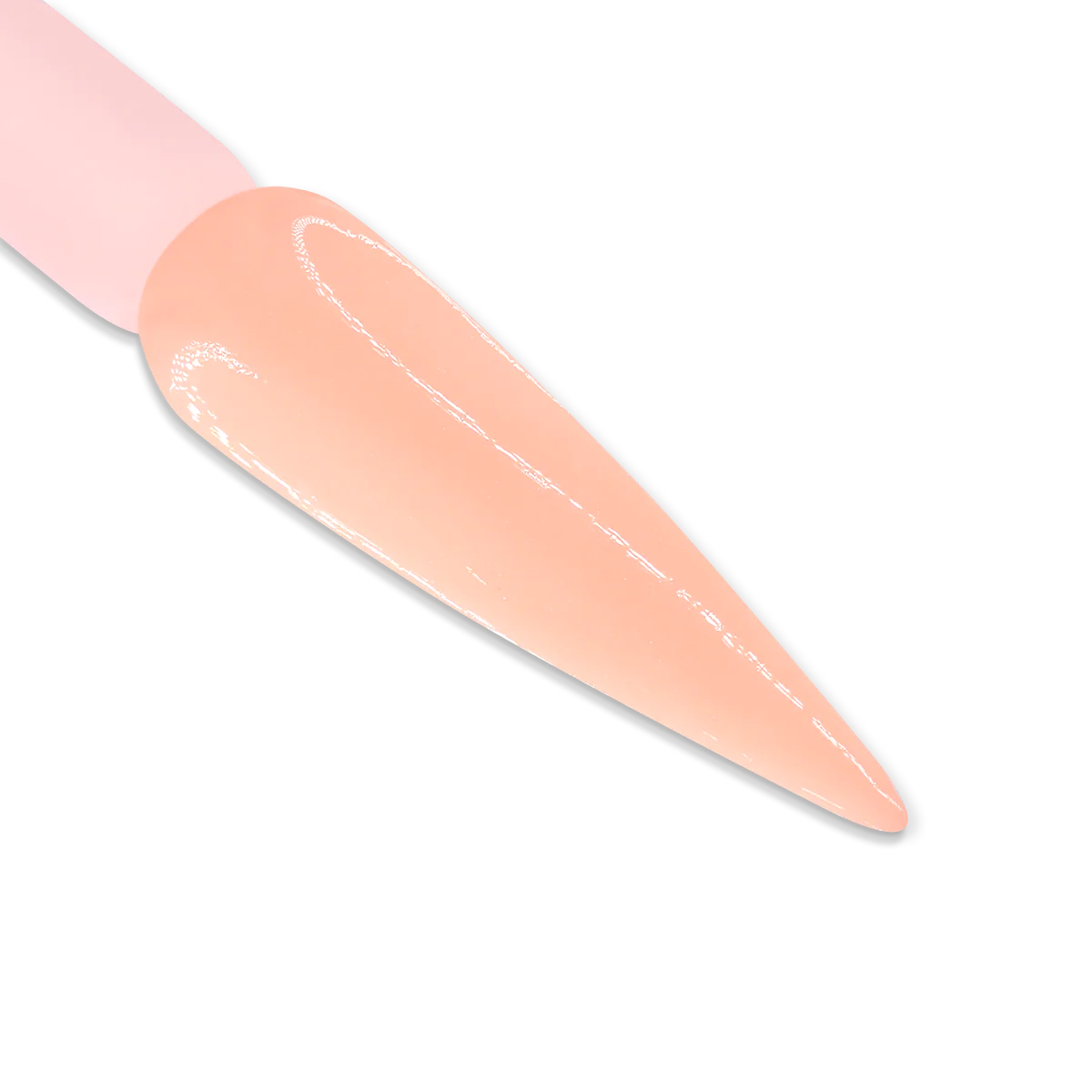 iGel Duo DD023 | Pale Shadow