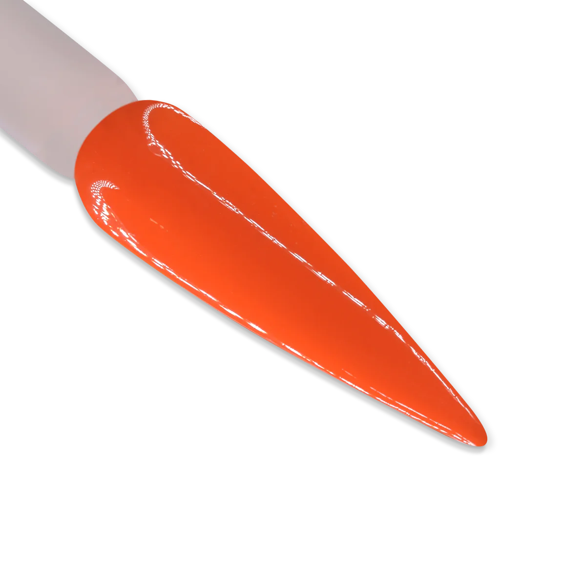 iGel Duo DD030 | Mandarin Madness