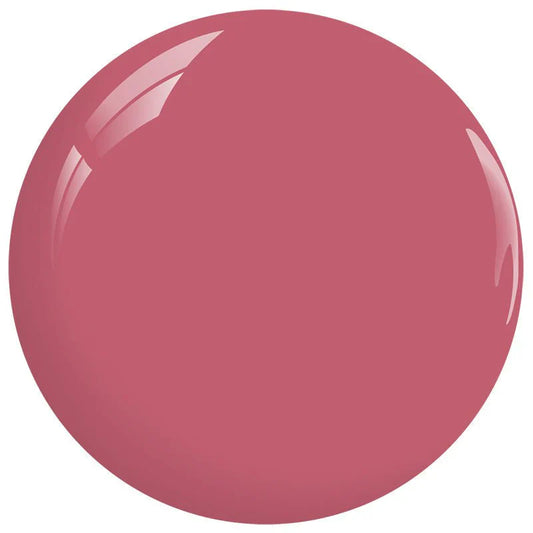 DND HEMA & TPO Free Duo #059 - Ribbon