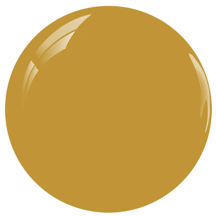 DND HEMA & TPO Free Duo #263 - Standing On CSULB Business