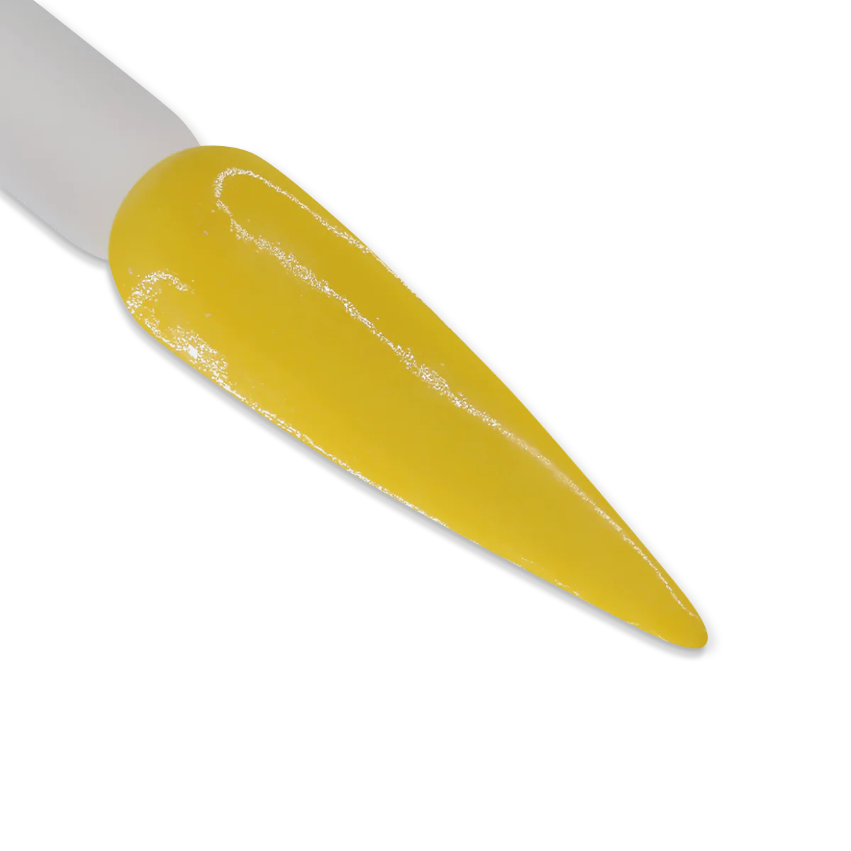 iGel Duo DD225 | We Bee-Long Together