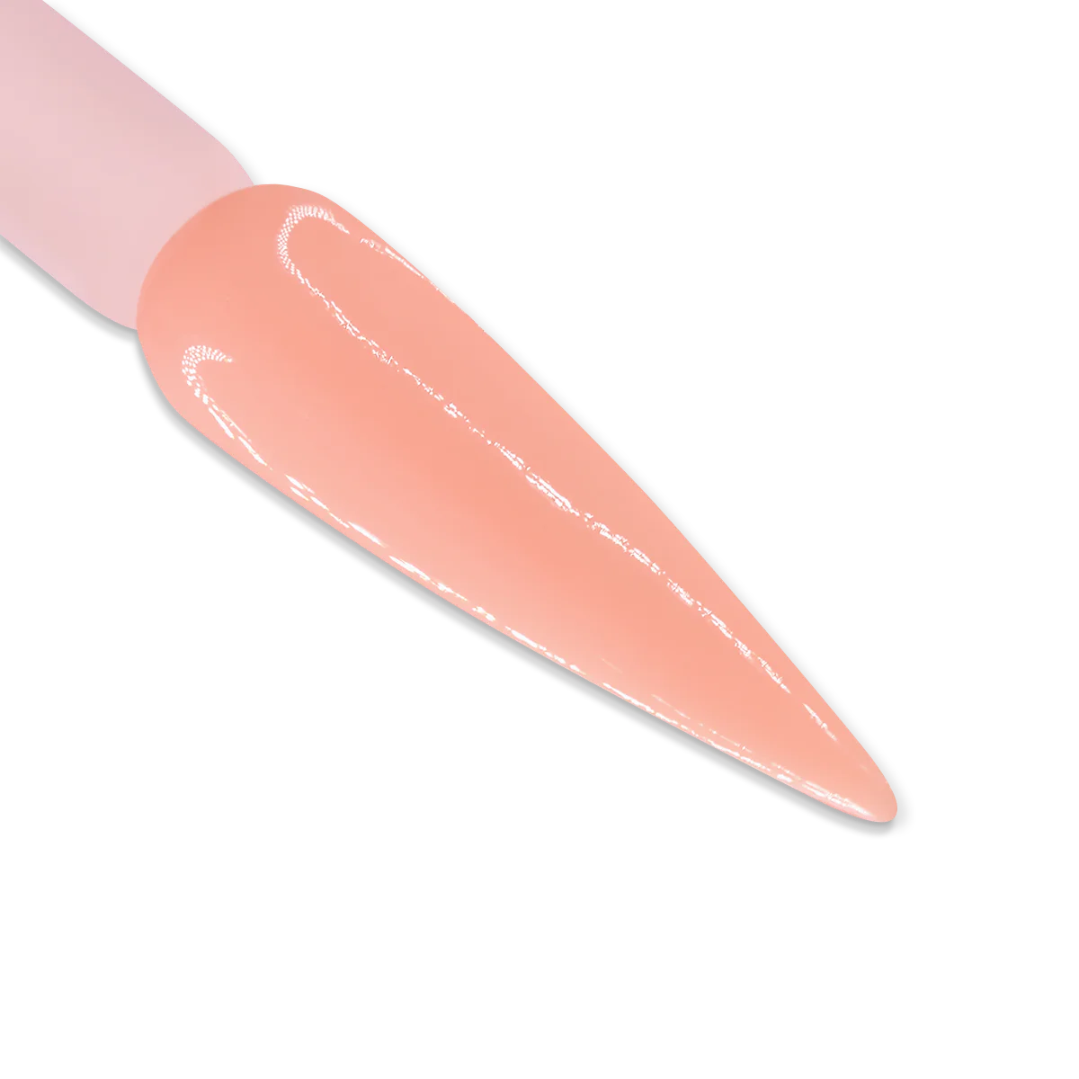 iGel Duo DD021 | Peach Blossom