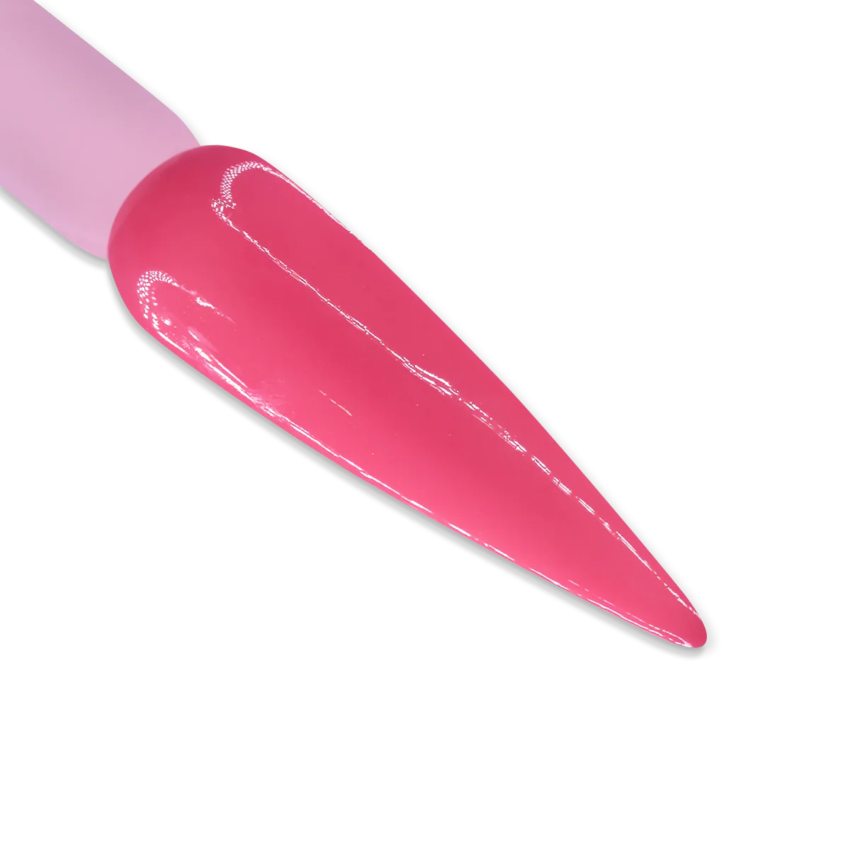 iGel Duo DD049 | La Rosa