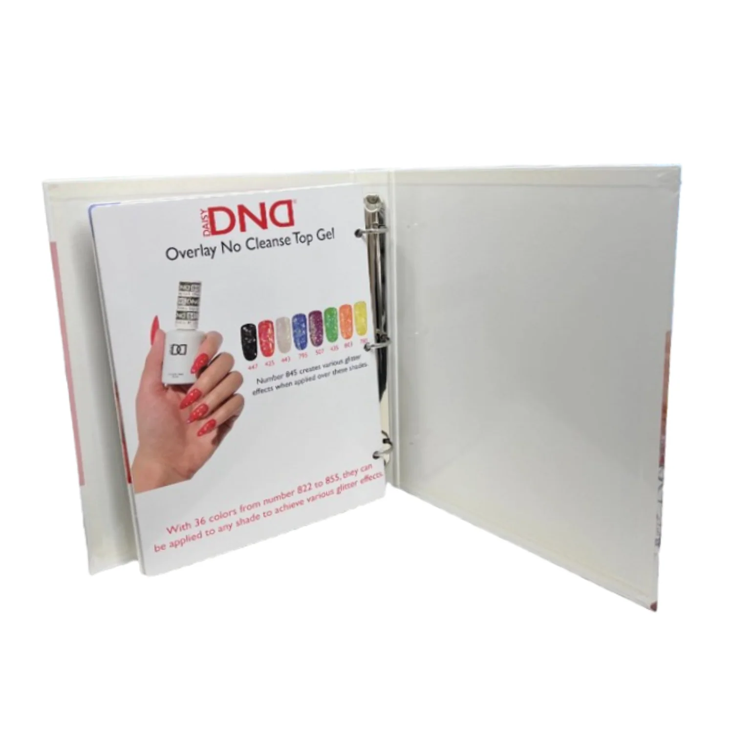 DND 2025 Nail Color Swatch Binder *NEW*