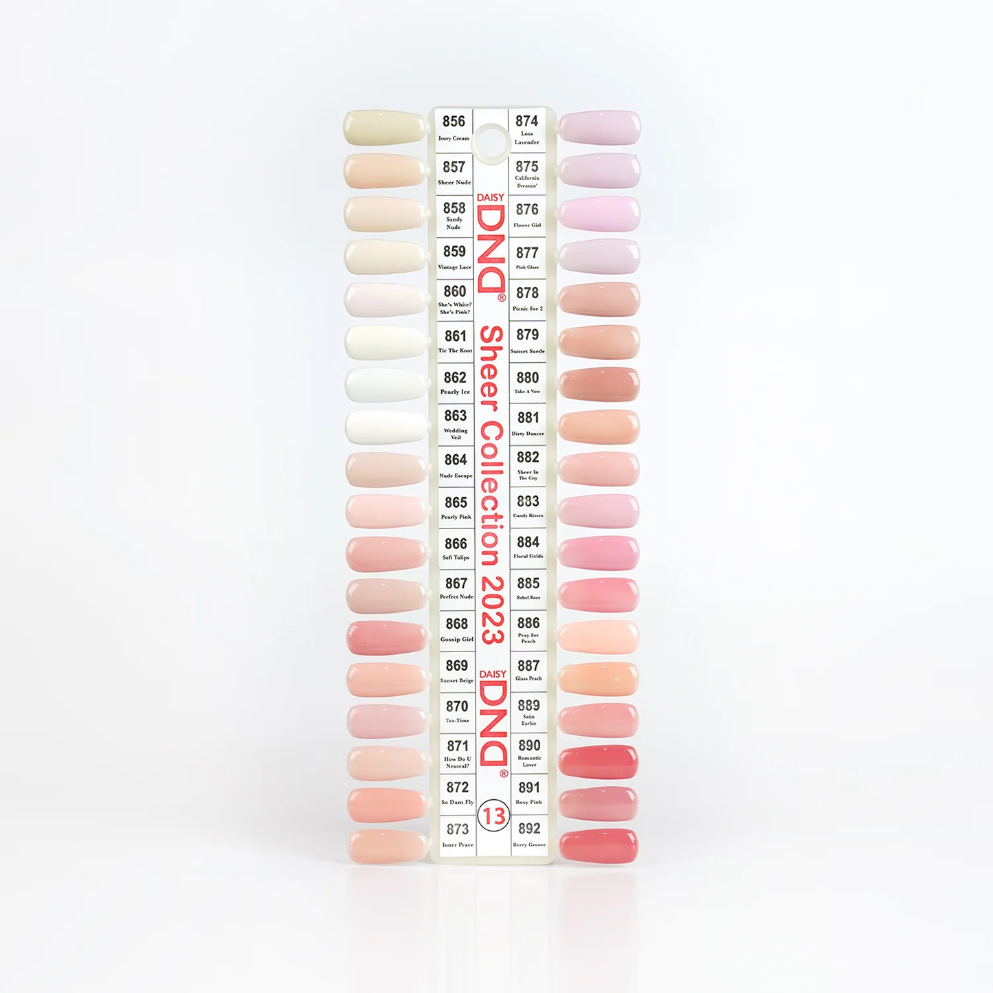 DND Gel/Lacquer Duo Bundle (559 colors ) + FREE 5 set color charts