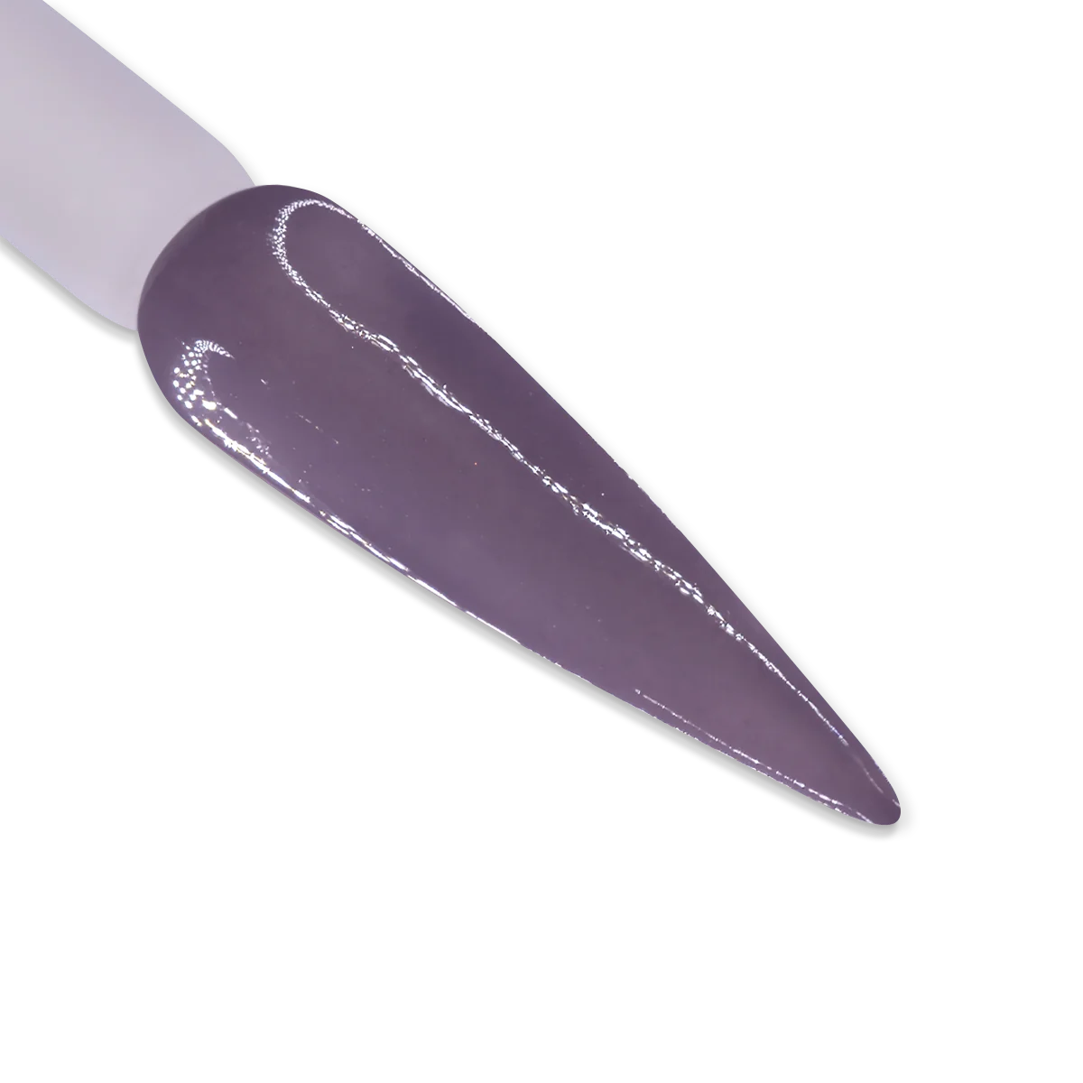 iGel Duo DD079 | Warm Chinchilla