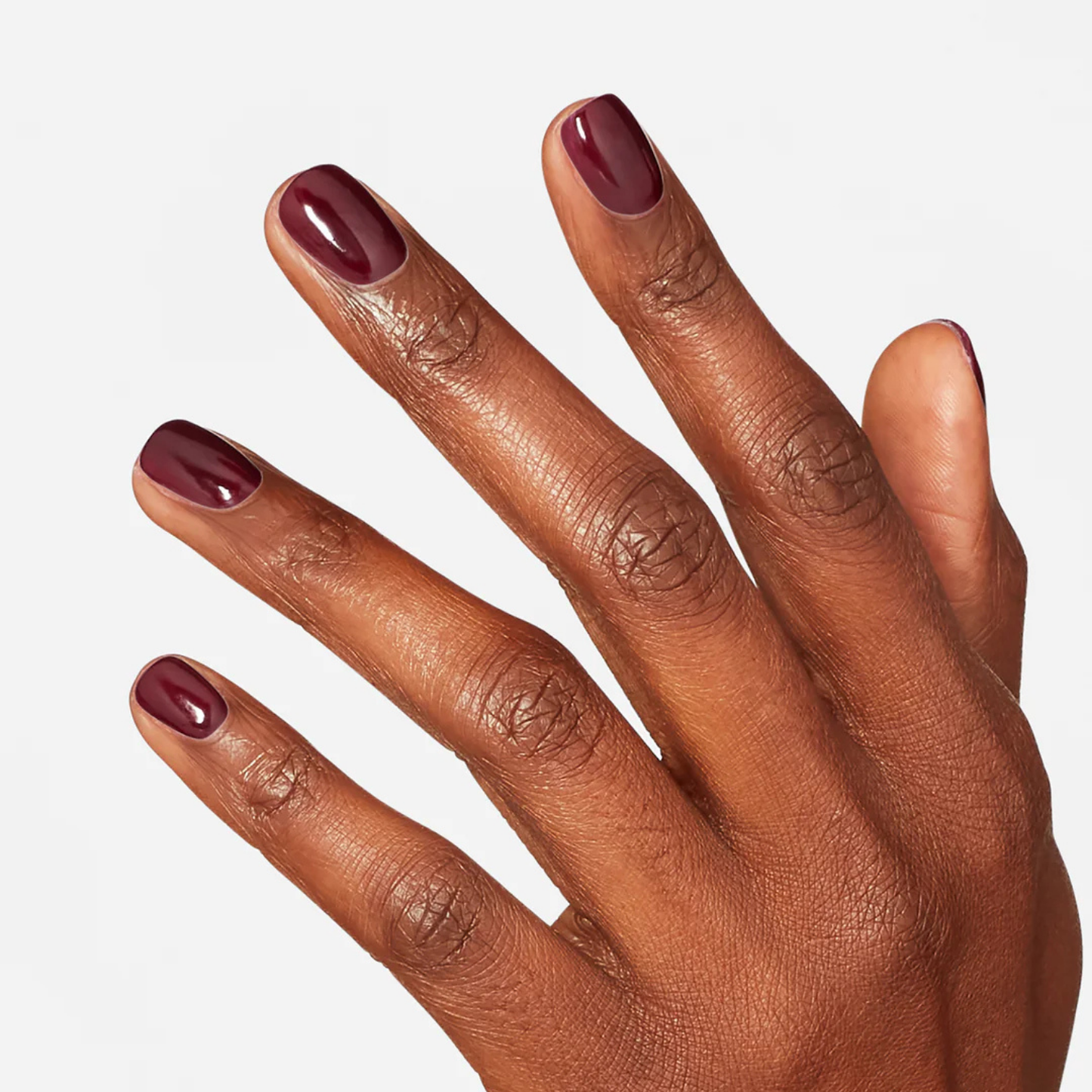 NL P41 | Yes My Condor Can-do!